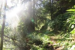 IMG_0076