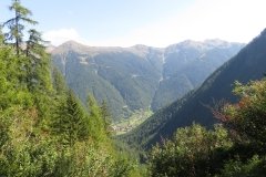 IMG_0082