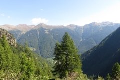 IMG_0084