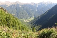 IMG_0087
