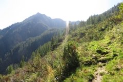 IMG_0090