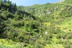 IMG_0093