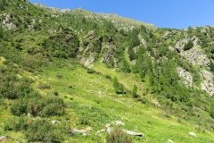IMG_0094