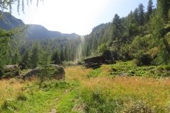 IMG_0100