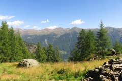IMG_0118