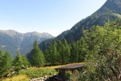 IMG_0120