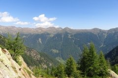 IMG_0131