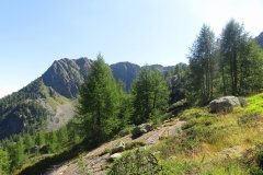 IMG_0135