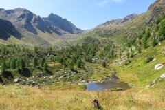 IMG_0137