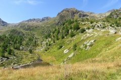 IMG_0159