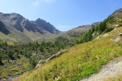IMG_0165