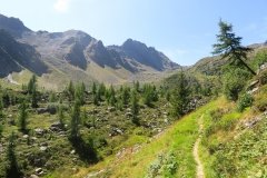 IMG_0185
