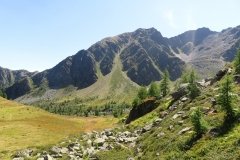 IMG_0200