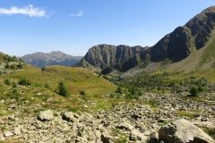 IMG_0202