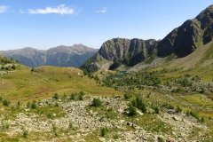 IMG_0207