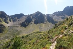 IMG_0229