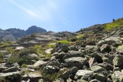IMG_0237