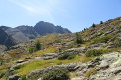 IMG_0245