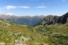 IMG_0247
