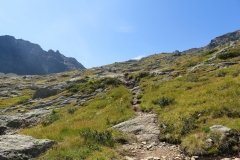 IMG_0251