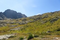 IMG_0256