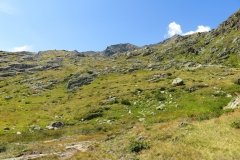 IMG_0258