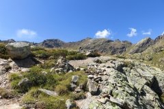 IMG_0267