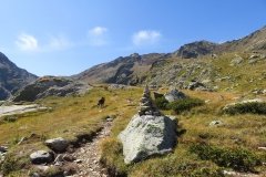 IMG_0279
