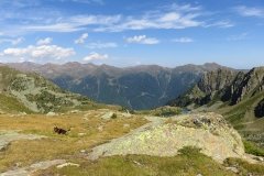 IMG_0288