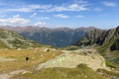 IMG_0290