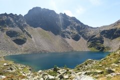 IMG_0295