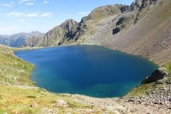 IMG_0328