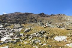 IMG_0378