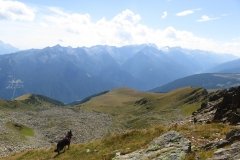 IMG_0391