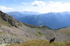 IMG_0400