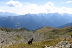 IMG_0402