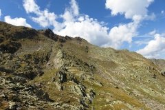 IMG_0434