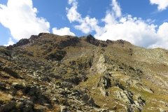 IMG_0437