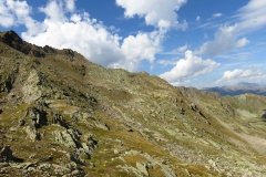 IMG_0438