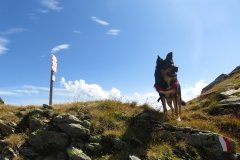 IMG_0446