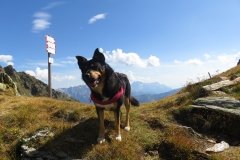 IMG_0448