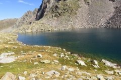 IMG_0461