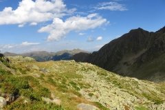 IMG_0490