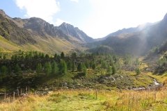 IMG_0502