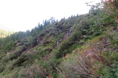 IMG_0508