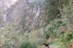 IMG_0510