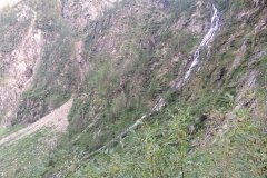 IMG_0514