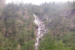 IMG_0515
