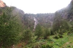 IMG_0518