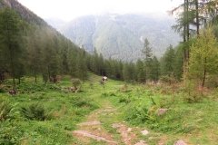 IMG_0520